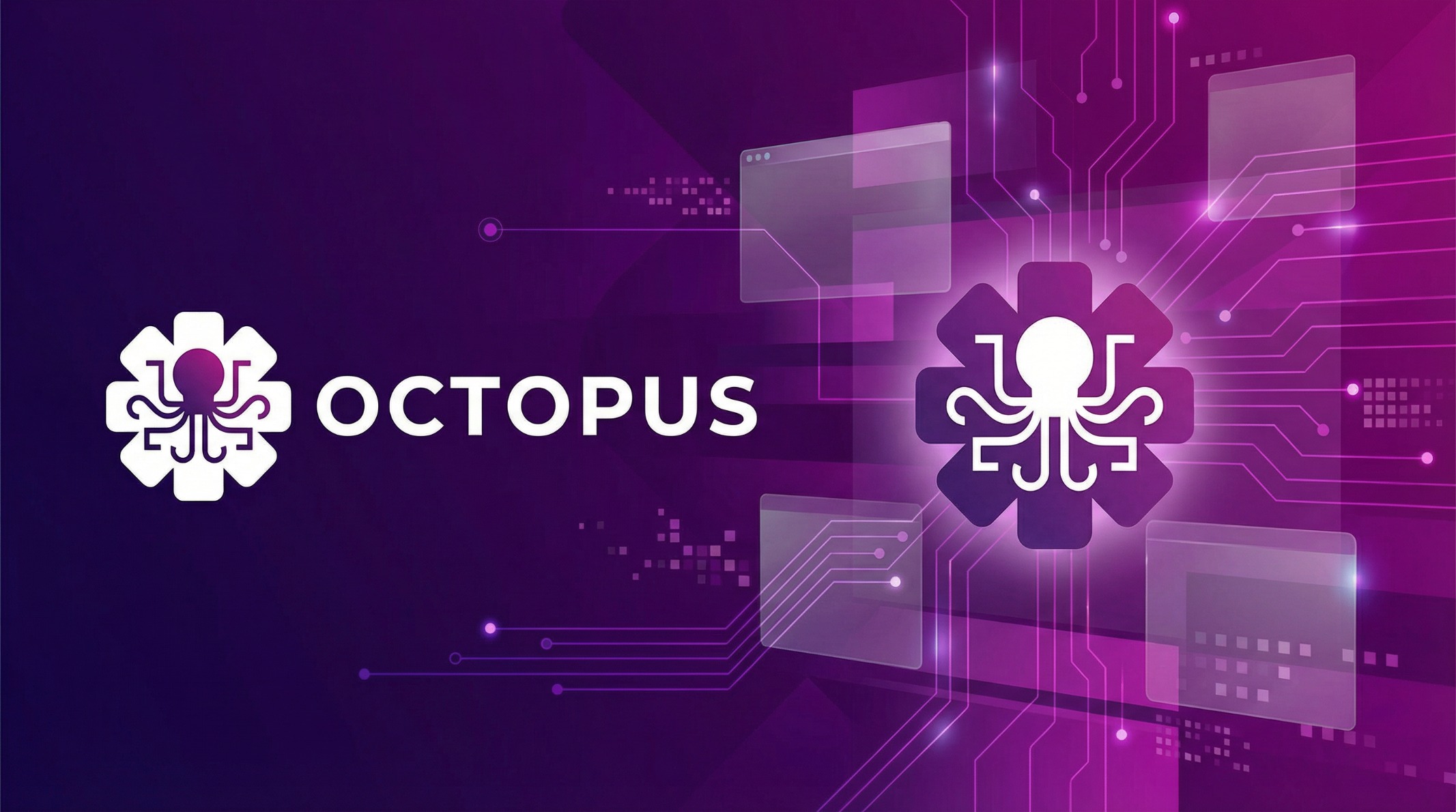 Octopus software brand graphic